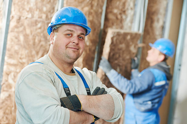 Insulation Repair Services in Ferron, UT